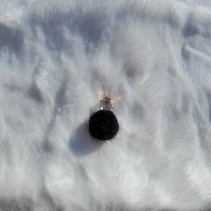 Black Jeweled Ball Earrings